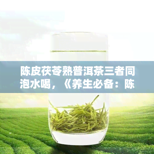 陈皮茯苓熟普洱茶三者同泡水喝，《养生必备：陈皮、茯苓与熟普洱茶的完美搭配》