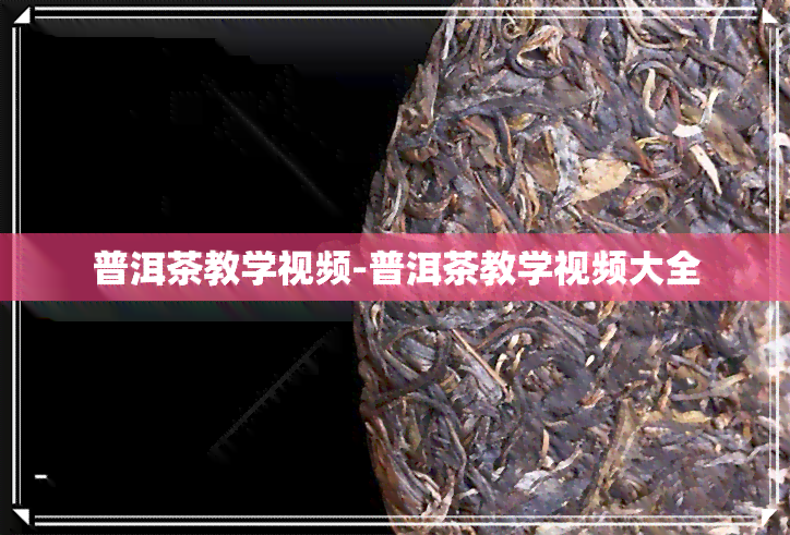 普洱茶教学视频-普洱茶教学视频大全