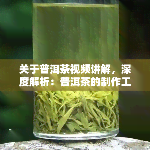 关于普洱茶视频讲解，深度解析：普洱茶的制作工艺与品鉴技巧视频讲解