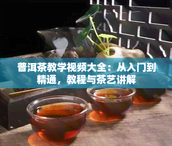 普洱茶教学视频大全：从入门到精通，教程与茶艺讲解