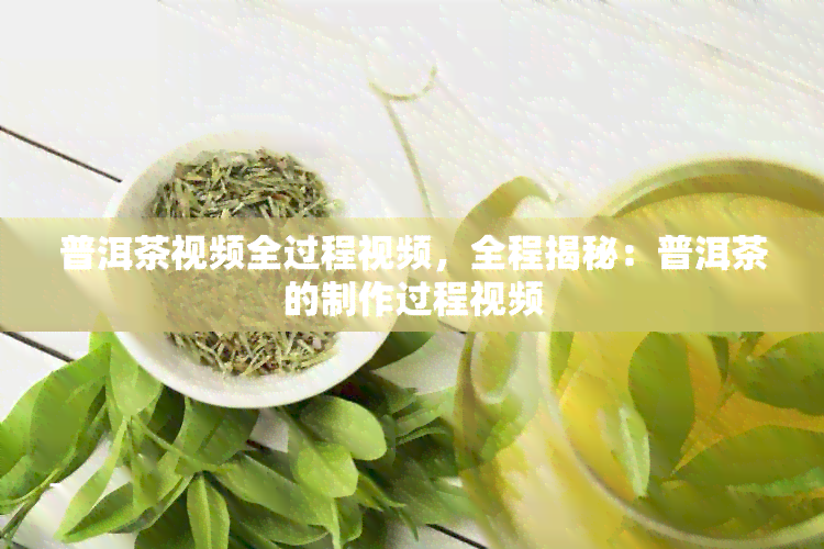 普洱茶视频全过程视频，全程揭秘：普洱茶的制作过程视频