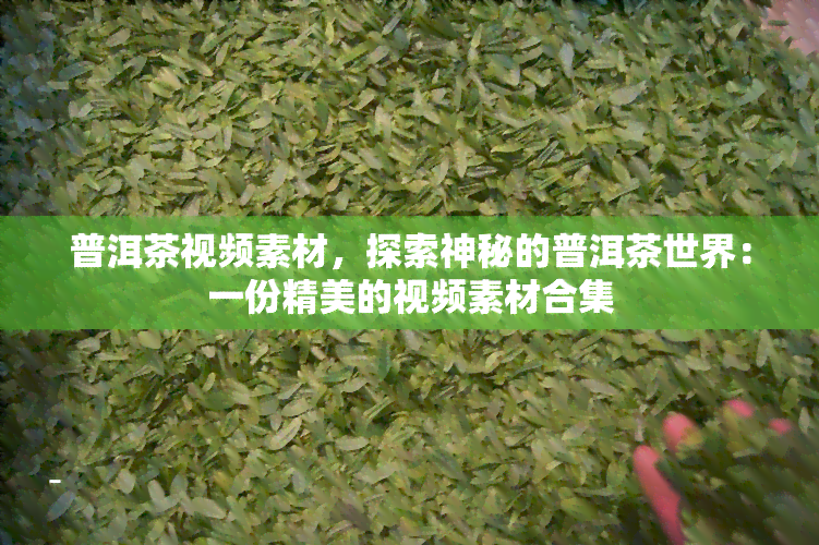 普洱茶视频素材，探索神秘的普洱茶世界：一份精美的视频素材合集