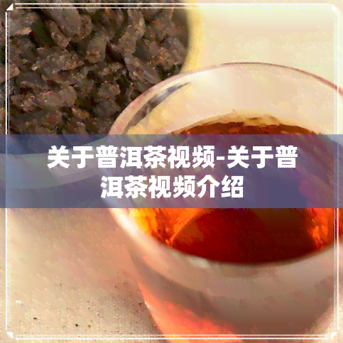 关于普洱茶视频-关于普洱茶视频介绍