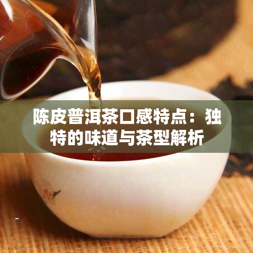 陈皮普洱茶口感特点：独特的味道与茶型解析