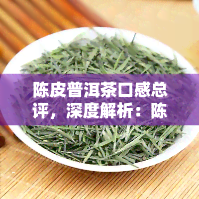 陈皮普洱茶口感总评，深度解析：陈皮普洱茶的口感特点与总体评价