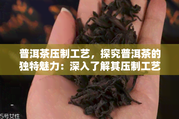 普洱茶压制工艺，探究普洱茶的独特魅力：深入了解其压制工艺