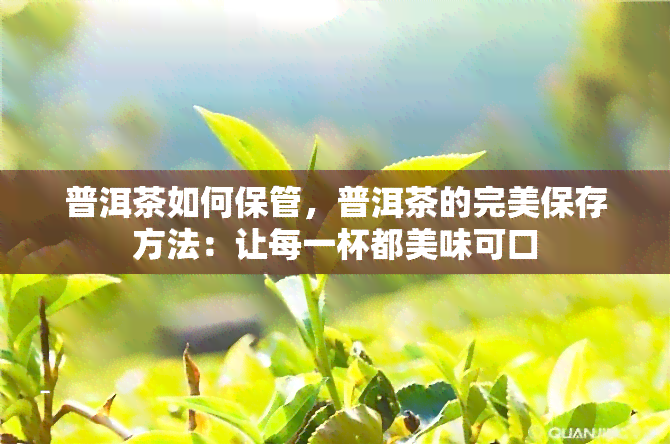 普洱茶如何保管，普洱茶的完美保存方法：让每一杯都美味可口