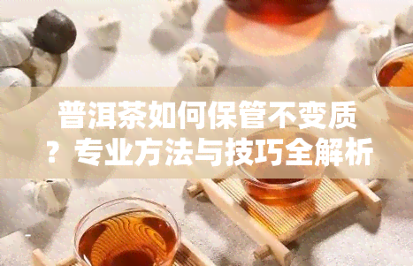 普洱茶如何保管不变质？专业方法与技巧全解析！