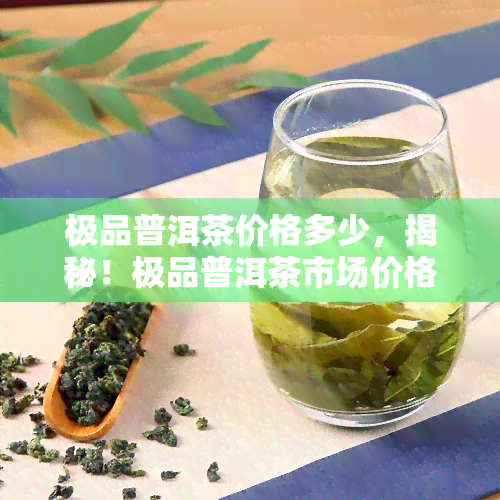 极品普洱茶价格多少，揭秘！极品普洱茶市场价格究竟几何？