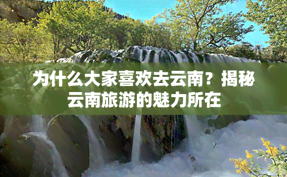 为什么大家喜欢去云南？揭秘云南旅游的魅力所在