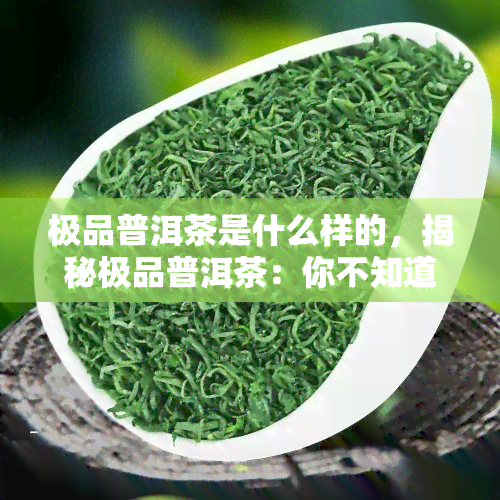 极品普洱茶是什么样的，揭秘极品普洱茶：你不知道的特性与鉴别方法