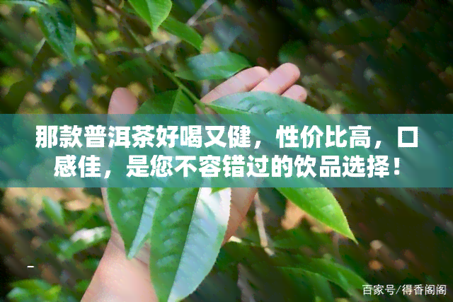 那款普洱茶好喝又健，性价比高，口感佳，是您不容错过的饮品选择！