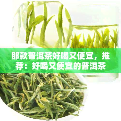 那款普洱茶好喝又便宜，推荐：好喝又便宜的普洱茶，不容错过！