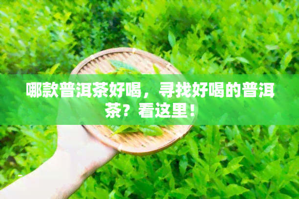 哪款普洱茶好喝，寻找好喝的普洱茶？看这里！