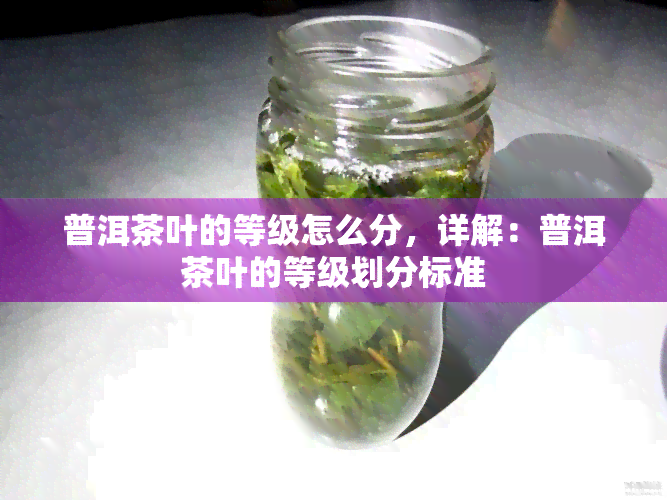 普洱茶叶的等级怎么分，详解：普洱茶叶的等级划分标准