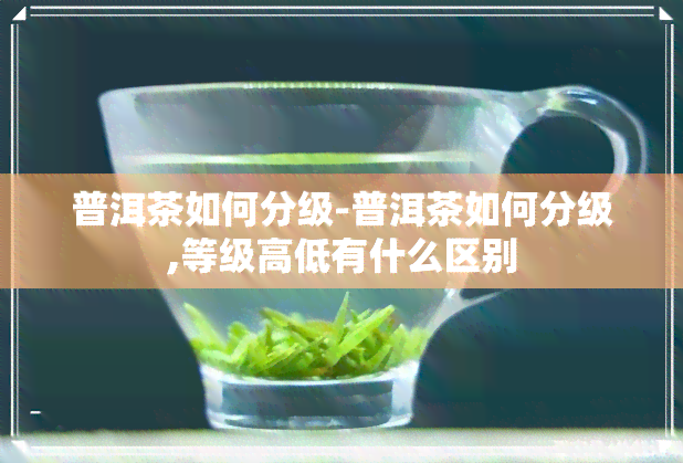 普洱茶如何分级-普洱茶如何分级,等级高低有什么区别