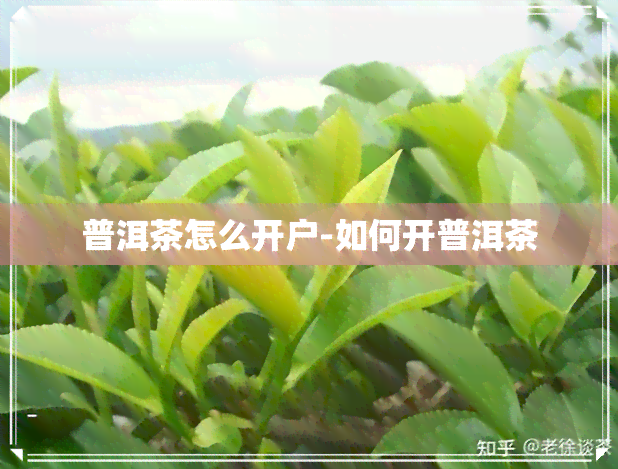 普洱茶怎么开户-如何开普洱茶