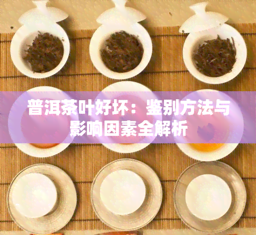 普洱茶叶好坏：鉴别方法与影响因素全解析