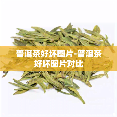 普洱茶好坏图片-普洱茶好坏图片对比