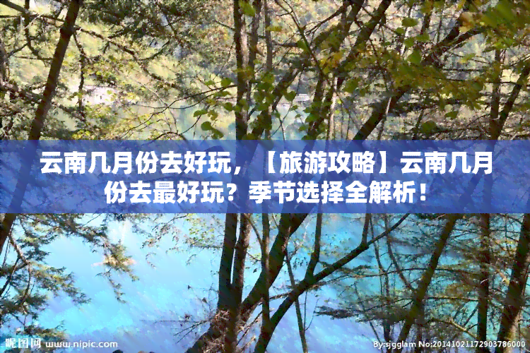 云南几月份去好玩，【旅游攻略】云南几月份去更好玩？季节选择全解析！