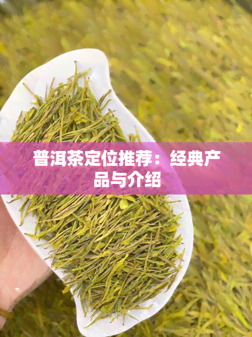 普洱茶定位推荐：经典产品与介绍