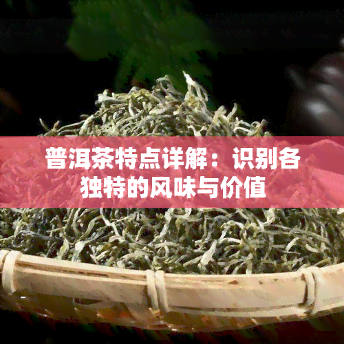 普洱茶特点详解：识别各独特的风味与价值