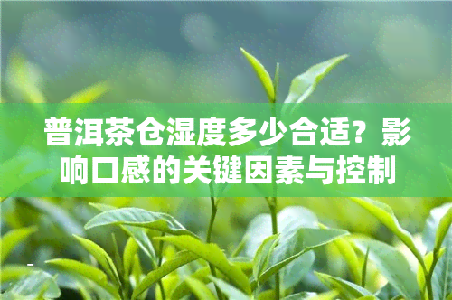 普洱茶仓湿度多少合适？影响口感的关键因素与控制方法