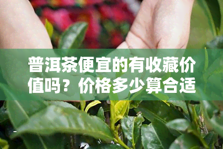 普洱茶便宜的有收藏价值吗？价格多少算合适？