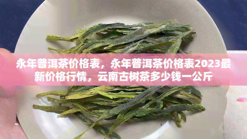 永年普洱茶价格表，永年普洱茶价格表2023最新价格行情，云南古树茶多少钱一公斤