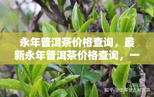 永年普洱茶价格查询，最新永年普洱茶价格查询，一网打尽！