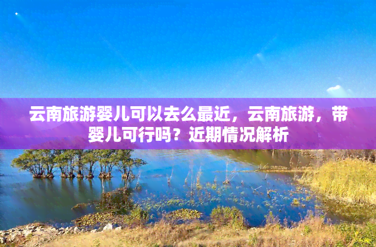 云南旅游婴儿可以去么最近，云南旅游，带婴儿可行吗？近期情况解析