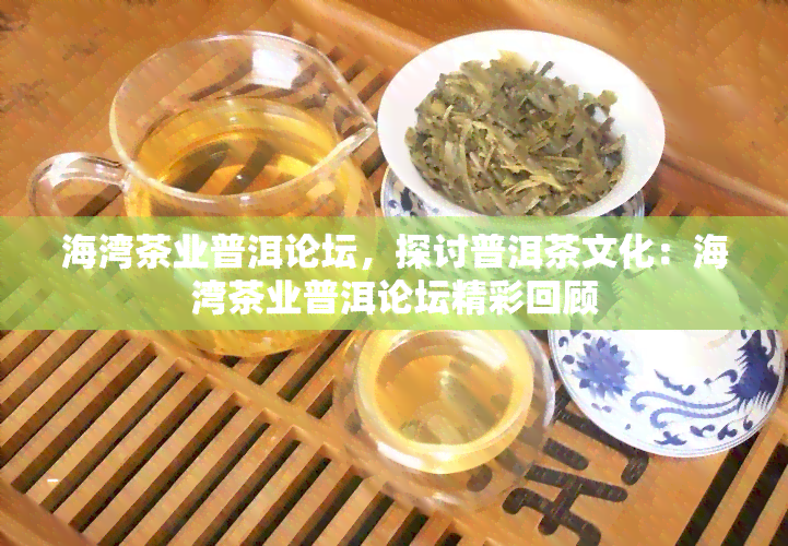 海湾茶业普洱论坛，探讨普洱茶文化：海湾茶业普洱论坛精彩回顾