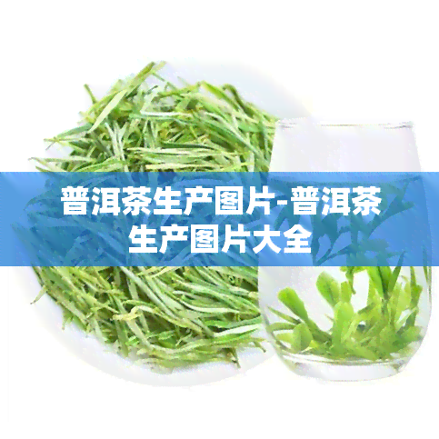 普洱茶生产图片-普洱茶生产图片大全