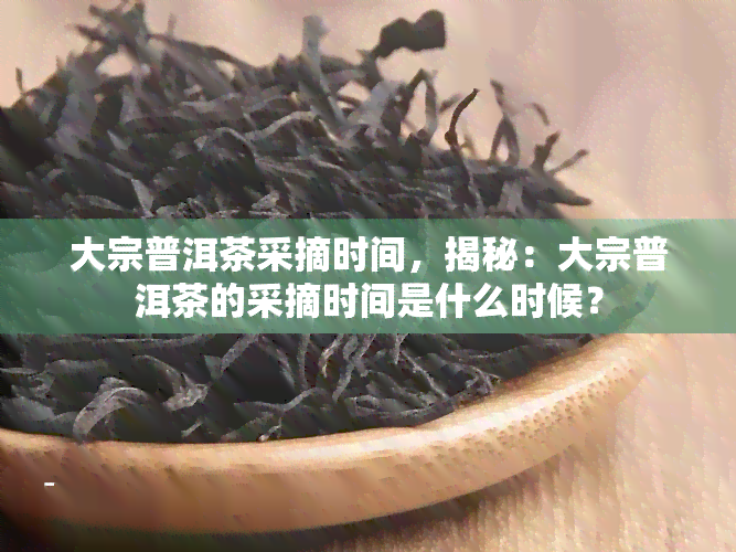 大宗普洱茶采摘时间，揭秘：大宗普洱茶的采摘时间是什么时候？