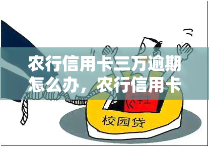 农行信用卡三万逾期怎么办，农行信用卡逾期三万元，应该如何处理？