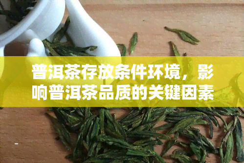 普洱茶存放条件环境，影响普洱茶品质的关键因素：存放条件与环境的影响