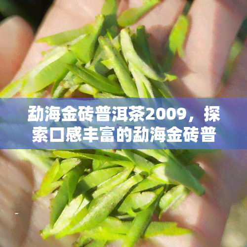 勐海金砖普洱茶2009，探索口感丰富的勐海金砖普洱茶2009