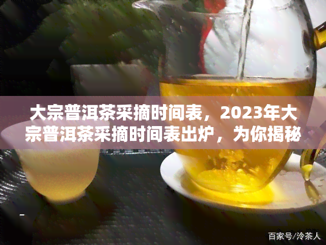 大宗普洱茶采摘时间表，2023年大宗普洱茶采摘时间表出炉，为你揭秘采茶期！