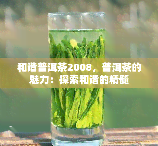 和谐普洱茶2008，普洱茶的魅力：探索和谐的精髓