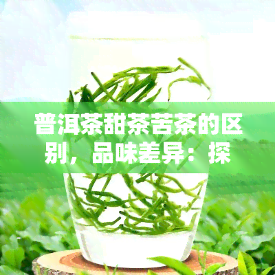 普洱茶甜茶苦茶的区别，品味差异：探讨普洱茶、甜茶与苦茶的不同之处