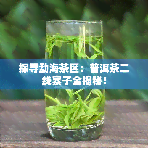 探寻勐海茶区：普洱茶二线寨子全揭秘！