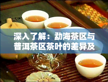 深入了解：勐海茶区与普洱茶区茶叶的差异及分布图