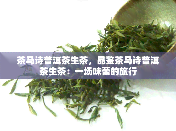 茶马诗普洱茶生茶，品鉴茶马诗普洱茶生茶：一场味蕾的旅行