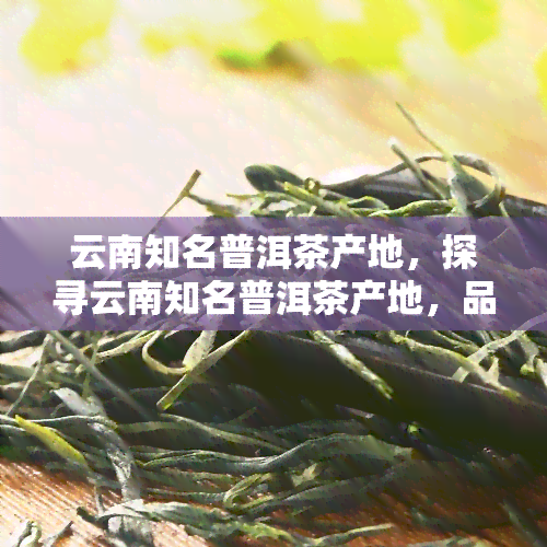 云南知名普洱茶产地，探寻云南知名普洱茶产地，品味千年茶文化