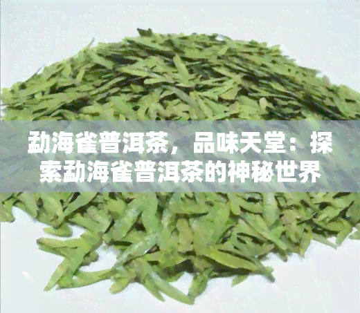 勐海雀普洱茶，品味天堂：探索勐海雀普洱茶的神秘世界