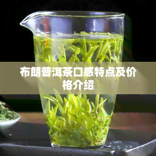 布朗普洱茶口感特点及价格介绍