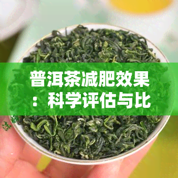 普洱茶减肥效果：科学评估与比较