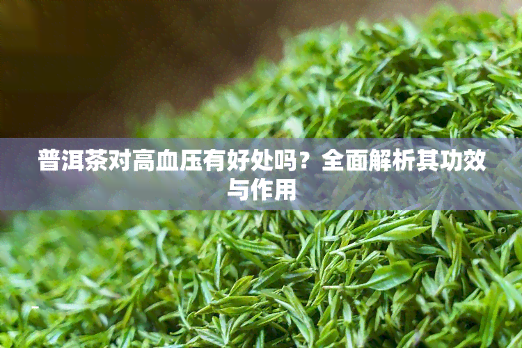 普洱茶对高血压有好处吗？全面解析其功效与作用