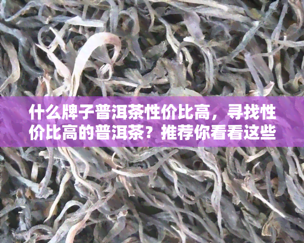 什么牌子普洱茶性价比高，寻找性价比高的普洱茶？推荐你看看这些！