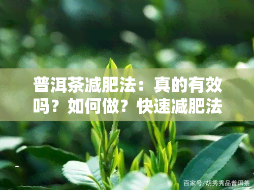 普洱茶减肥法：真的有效吗？如何做？快速减肥法是否可行？